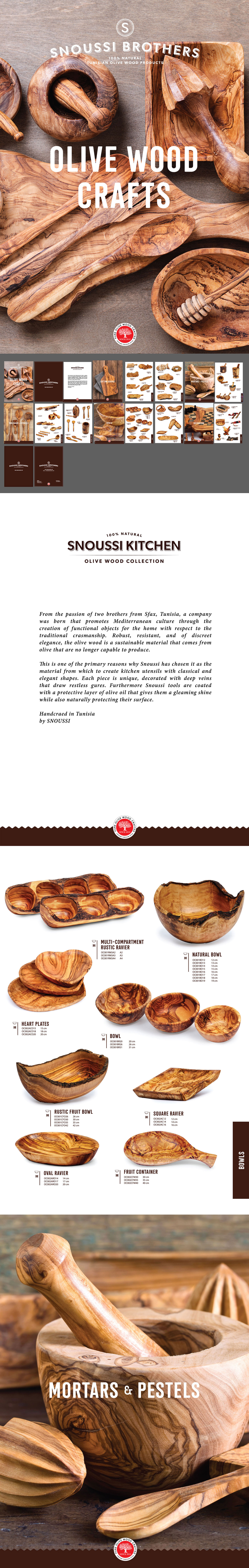 Snoussi Brothers Brochure